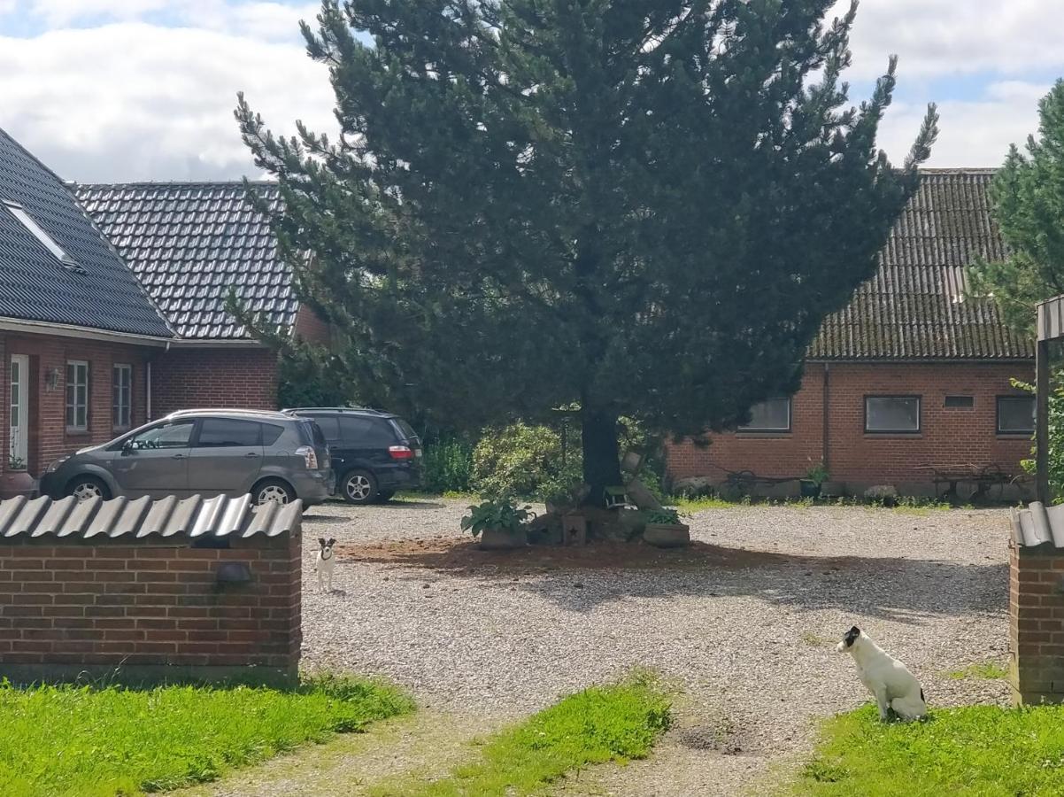 Apartamento Kristinebjerg Jelling Exterior foto